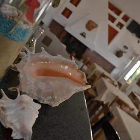 Ostria & Aparthotel 4*